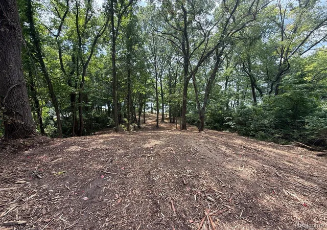 Photo 3 of Land for sale at 0 E Coon Lake Trl, Howell, MI 48843 | MLS# 20261059346 | Listing updated on 2026-08-28