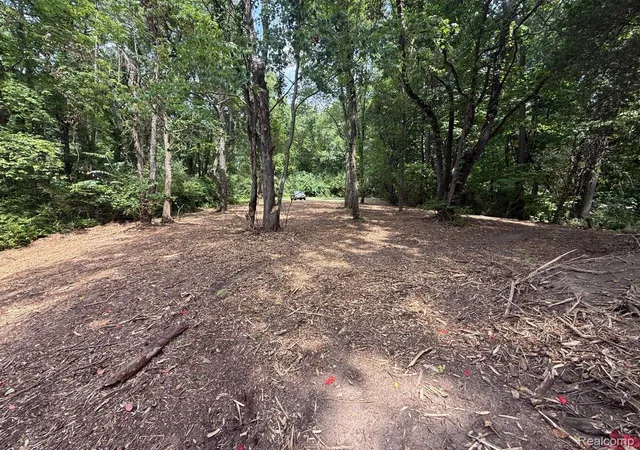 Photo 4 of Land for sale at 0 E Coon Lake Trl, Howell, MI 48843 | MLS# 20261059346 | Listing updated on 2026-08-28
