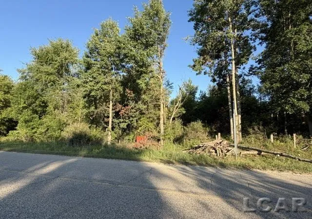 Land for sale at 10459 Baker Rd, Jerome, MI 49249 | MLS# 56050216720