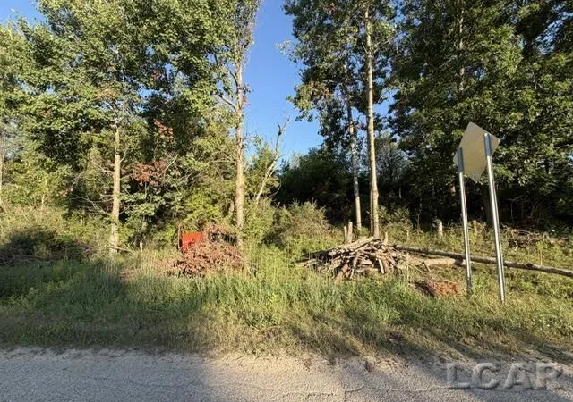 Photo 3 of Land for sale at 10459 Baker Rd, Jerome, MI 49249 | MLS# 56050216720 | Listing updated on 2026-07-30