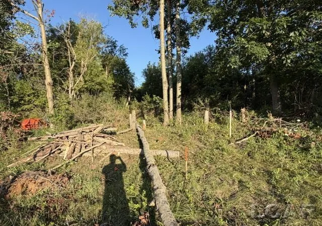 Photo 3 of Land for sale at 10459 Baker Rd, Jerome, MI 49249 | MLS# 56050216720 | Listing updated on 2026-07-30