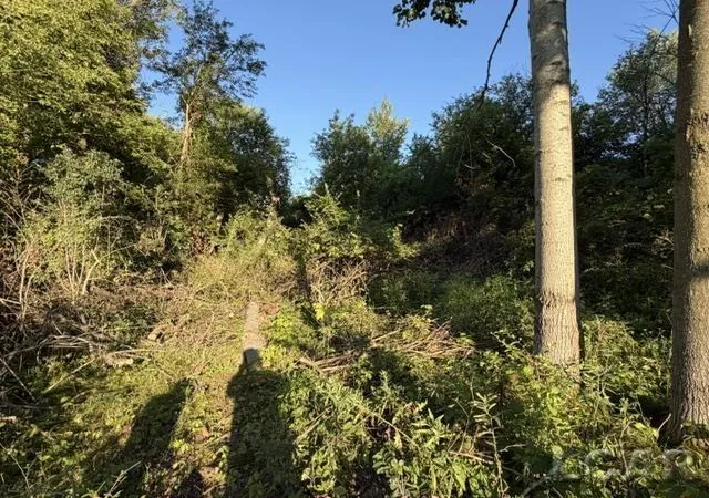 Photo 4 of Land for sale at 10459 Baker Rd, Jerome, MI 49249 | MLS# 56050216720 | Listing updated on 2026-07-30