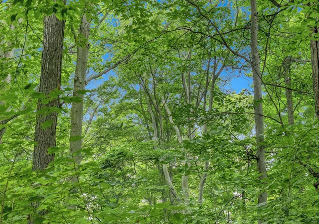 5th image of 5400 Wild Berry Trl, Traverse City, MI 49684 | MLS# 78080071724