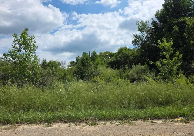 Photo 4 of Land for sale at 113 Devonshire Dr, Lapeer, MI 48446 | MLS# 20261059628 | Listing updated on 2026-07-31