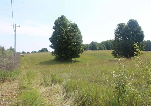 1st image of 0 Barnes Rd, Kewadin, MI 49648 | MLS# 78080071742
