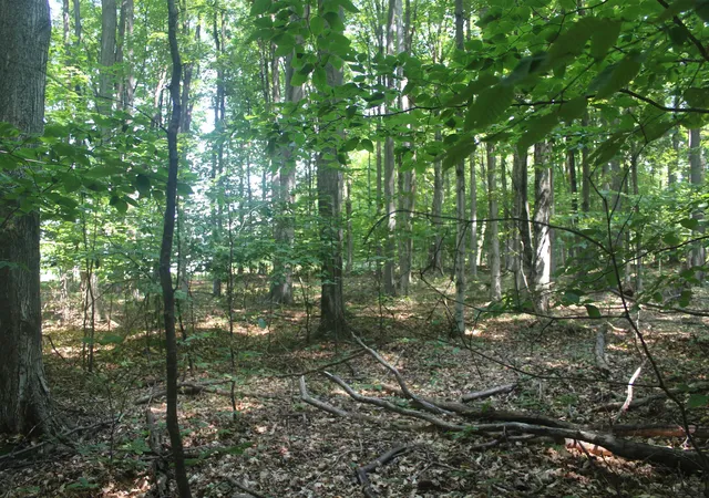2nd image of 0 Barnes Rd, Kewadin, MI 49648 | MLS# 78080071742