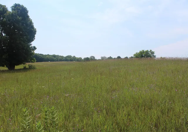 3rd image of 0 Barnes Rd, Kewadin, MI 49648 | MLS# 78080071742