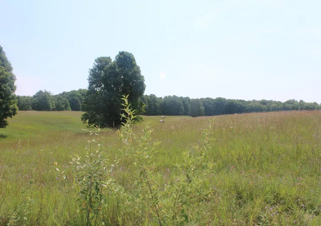 4th image of 0 Barnes Rd, Kewadin, MI 49648 | MLS# 78080071742