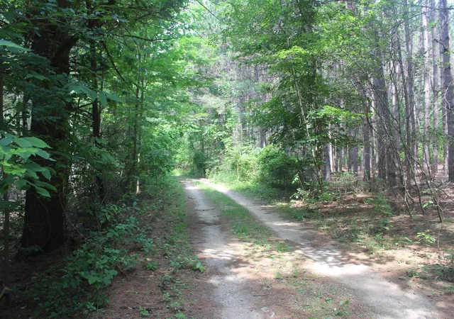 1st image of 0 Whitefish Trl, Kewadin, MI 49648 | MLS# 78080071743