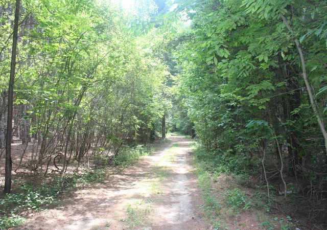2nd image of 0 Whitefish Trl, Kewadin, MI 49648 | MLS# 78080071743