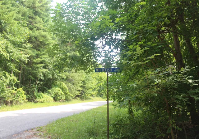 3rd image of 0 Whitefish Trl, Kewadin, MI 49648 | MLS# 78080071743