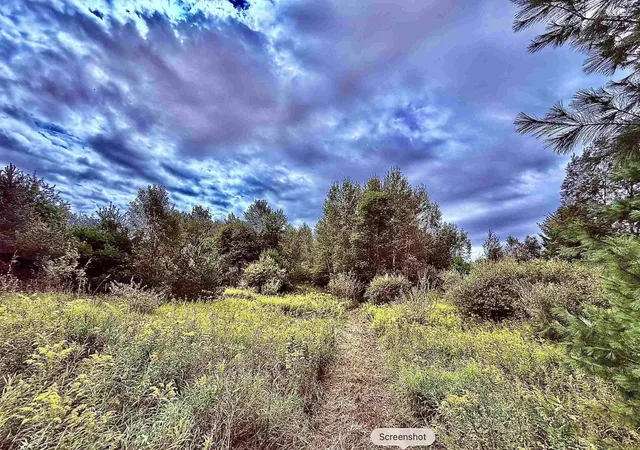 1st image of 6888 Bancroft Rd, Kingsley, MI 49649 | MLS# 78080071744