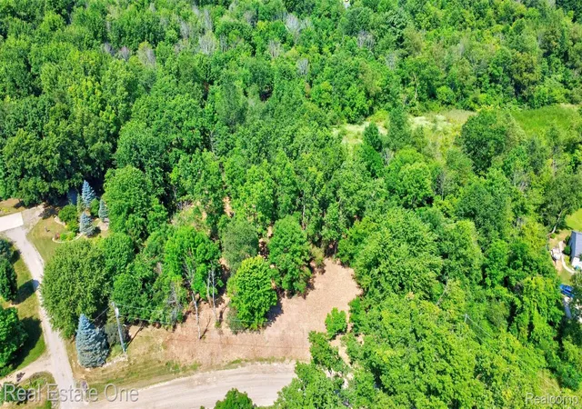 Photo 3 of Land for sale at 00 Bridges Cvs, Metamora, MI 48455 | MLS# 20261059714 | Listing updated on 2026-09-11