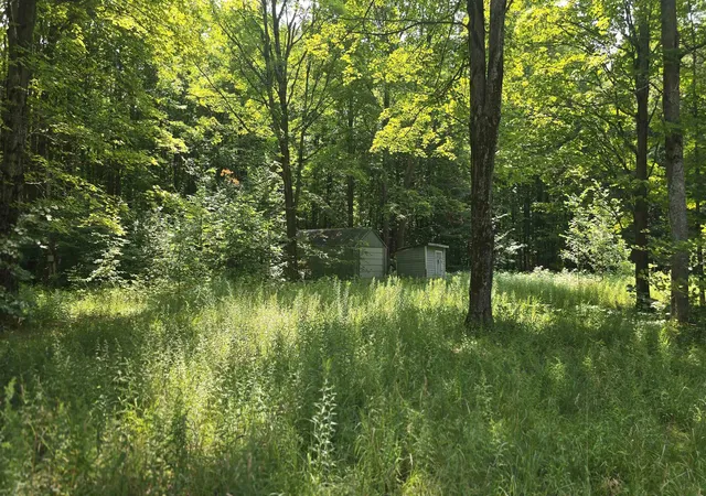62nd image of 8494 Starvation Lake Rd, Mancelona, MI 49659 | MLS# 78080071747