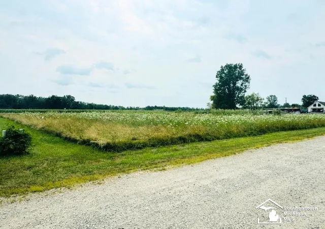Photo 4 of Land for sale at Vacant Land Mary Lee Dr, Ash Township Monroe, MI 48117 | MLS# 57050216828 | Listing updated on 2026-07-31