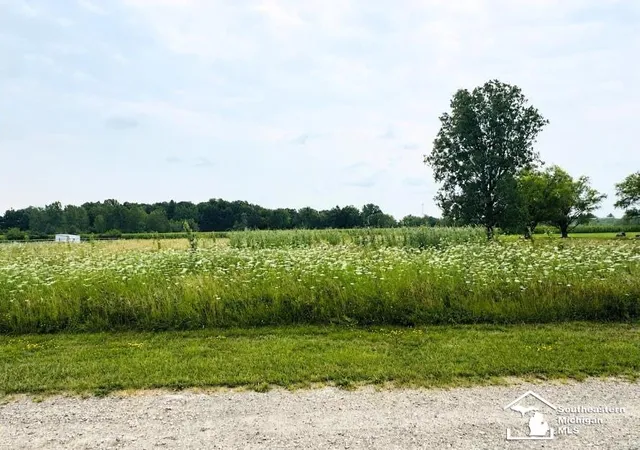 6th image of Vacant Land Mary Lee Dr, Ash Township Monroe, MI 48117 | MLS# 57050216828