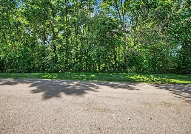 4th image of 00 Deer Ridge Trl, Holly, MI 48442 | MLS# 20261059866