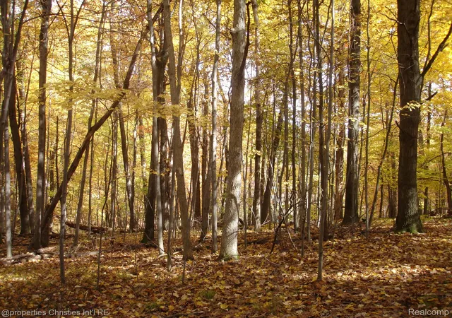Photo 1 of Land for sale at 1451 Barrwood Trl, Oxford, MI 48371 | MLS# 20261059905 | Listing updated on 2026-07-31