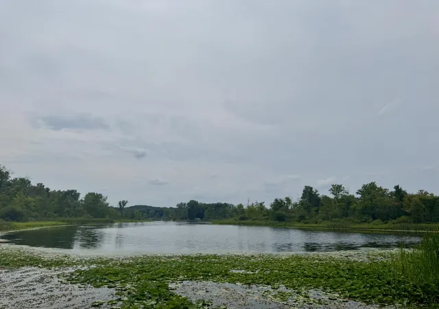 3rd image of 106 Little Long Lake Dr, Nashville, MI 49073 | MLS# 65026039842