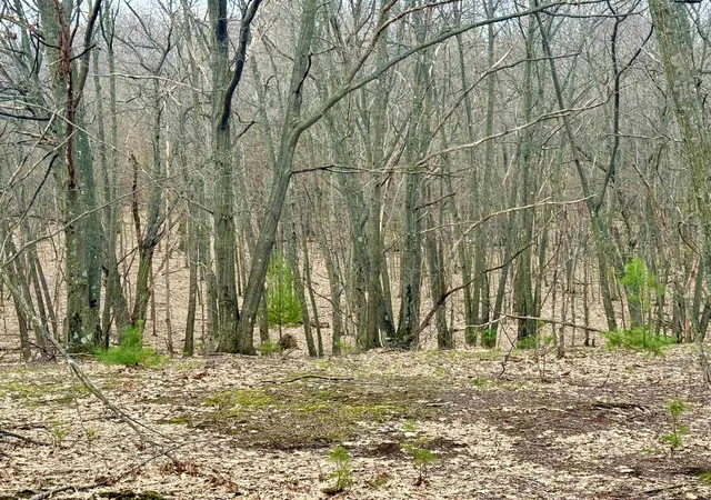 30th image of Lot E W Big Sky Trl, Glen Arbor Township Leelanau, MI 49664 | MLS# 78080071784