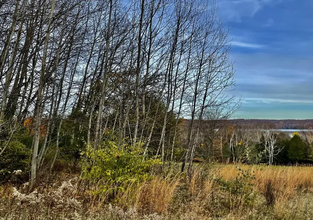 40th image of 000 Lakeview Trl, Kewadin, MI 49648 | MLS# 78080071783