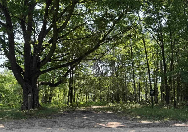 25th image of 7645 Windoga Lake Dr, Weidman, MI 48893 | MLS# 79080071791
