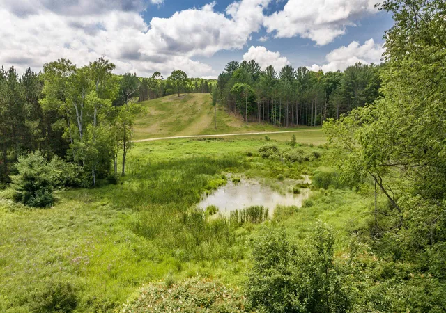 15th image of 3383 Nw Dockery Rd, Kalkaska Township Kalkaska, MI 49690 | MLS# 78080071797
