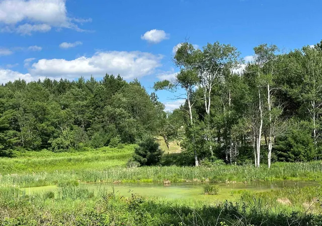 5th image of 3383 Nw Dockery Rd, Kalkaska Township Kalkaska, MI 49690 | MLS# 78080071797