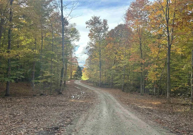 Photo 2 of Land for sale at 11605 S Tower, Maple City, MI 49664 | MLS# 78080071800 | Listing updated on 2026-08-04