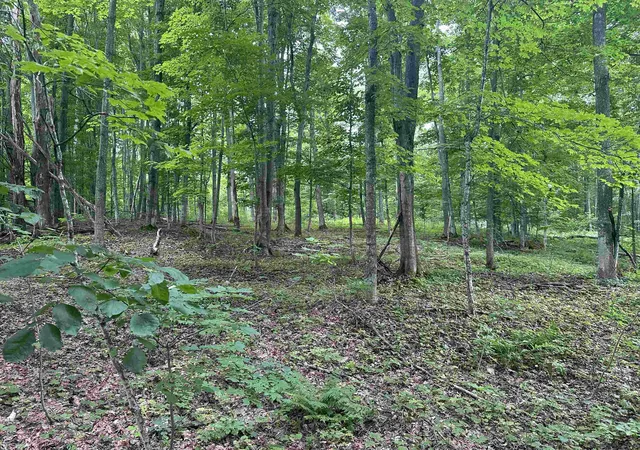Photo 3 of Land for sale at 11605 S Tower, Maple City, MI 49664 | MLS# 78080071800 | Listing updated on 2026-08-04