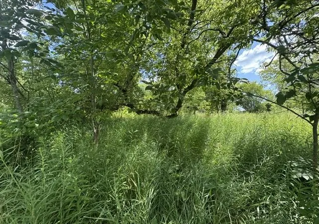 36th image of 2179 Conrad Rd, Standish, MI 48658 | MLS# 78080071801