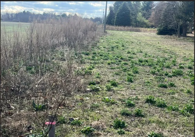 Photo 5 of Land for sale at 24496 Renata Dr, Macomb, MI 48042 | MLS# 58050217008 | Listing updated on 2026-08-01
