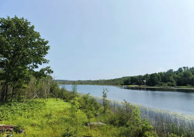 50th image of 6151 East Jordan Rd, Ellsworth, MI 49729 | MLS# 78080071822