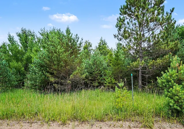 1st image of 000 Fletcher Rd, Roscommon, MI 48653 | MLS# 20261060343