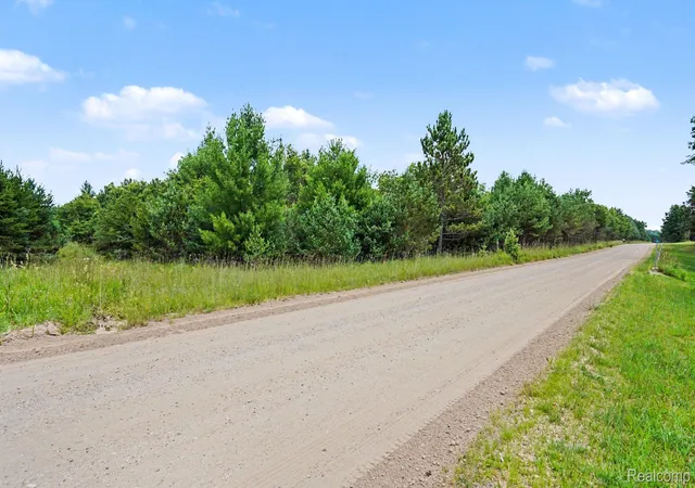 2nd image of 000 Fletcher Rd, Roscommon, MI 48653 | MLS# 20261060343