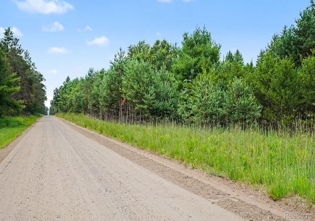 3rd image of 000 Fletcher Rd, Roscommon, MI 48653 | MLS# 20261060343