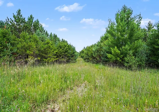 4th image of 000 Fletcher Rd, Roscommon, MI 48653 | MLS# 20261060343
