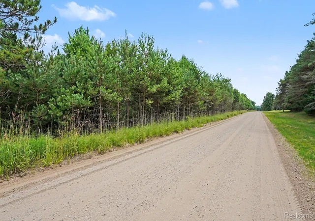 5th image of 000 Fletcher Rd, Roscommon, MI 48653 | MLS# 20261060343