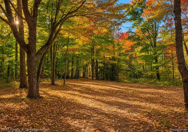 2nd image of 6004 Seven Mile Rd, South Lyon, MI 48178 | MLS# 20261060345