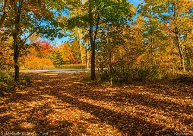 Photo 3 of Land for sale at 6004 Seven Mile Rd, South Lyon, MI 48178 | MLS# 20261060345 | Listing updated on 2026-10-02