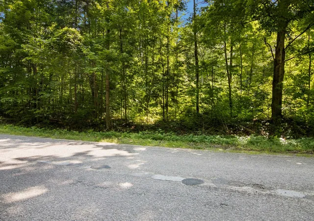 4th image of V/L Lake Of The Woods Rd, Custer Township Antrim, MI 49615 | MLS# 78080071830
