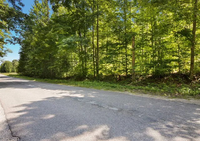 5th image of V/L Lake Of The Woods Rd, Custer Township Antrim, MI 49615 | MLS# 78080071830