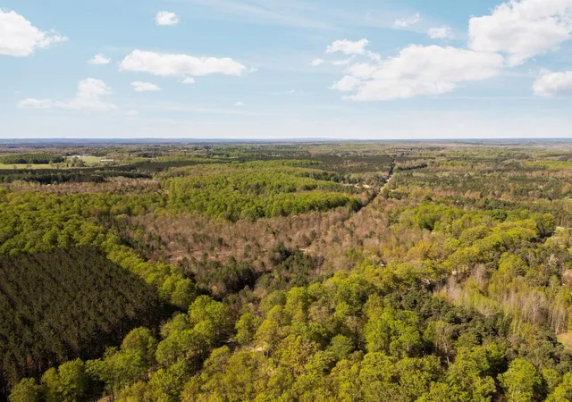1st image of 11886 Cedar Creek Rd, Fife Lake, MI 49633 | MLS# 78080071831