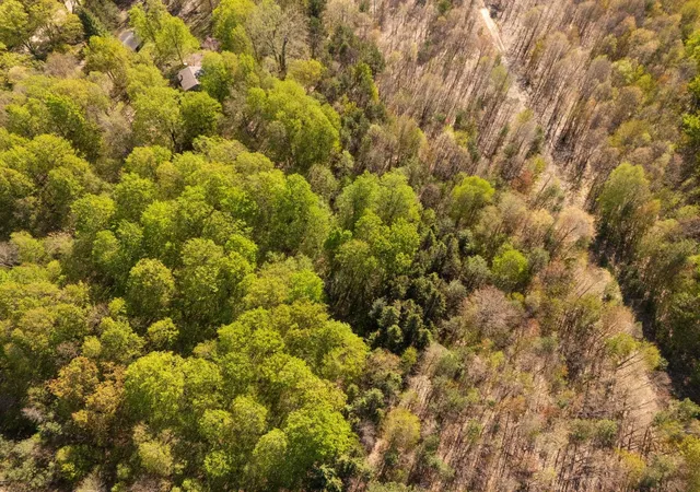 5th image of 11886 Cedar Creek Rd, Fife Lake, MI 49633 | MLS# 78080071831