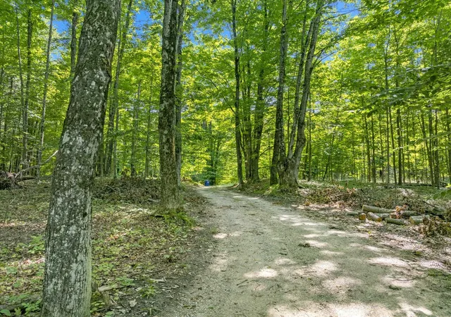 5th image of 655 S East Torch Lake Dr, Bellaire, MI 49615 | MLS# 78080071836