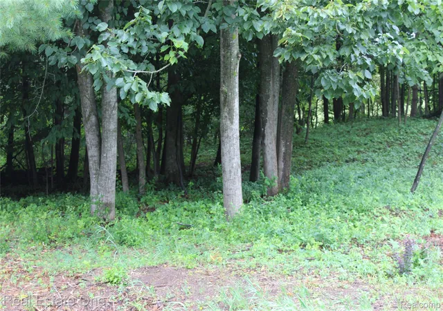 5th image of Lot 149 Greensboro Wy, Gladwin, MI 48624 | MLS# 20261060638