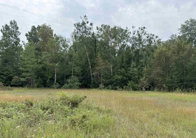 Photo 1 of Land for sale at 0 Lore Rd, Torch Lake Township Antrim, MI 49622 | MLS# 78080071858 | Listing updated on 2026-08-04