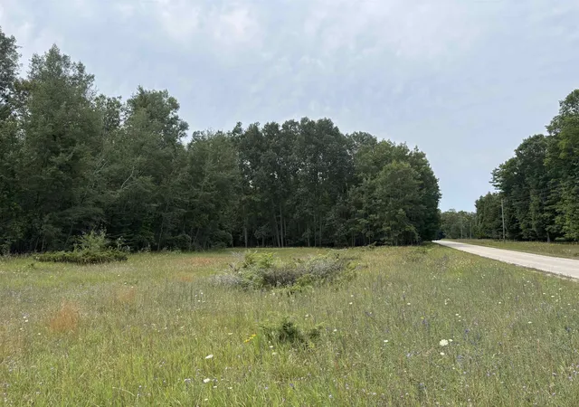 Photo 2 of Land for sale at 0 Lore Rd, Torch Lake Township Antrim, MI 49622 | MLS# 78080071858 | Listing updated on 2026-08-04