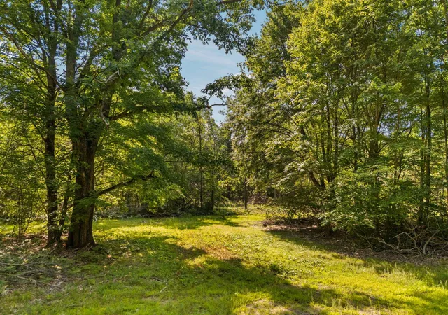 42nd image of 18150 Stronach Dam Rd, Wellston, MI 49689 | MLS# 78080071866