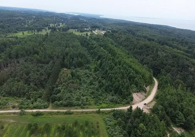 Land for sale at 00 Antrim Dells Rd, Ellsworth, MI 49729 | MLS# 78080071868